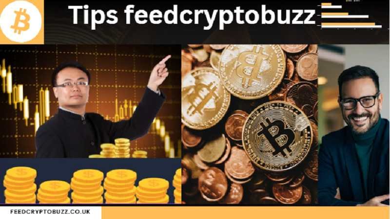 Tips FeedCryptoBuzz: The Ultimate Practical Guide